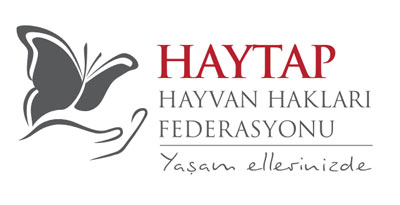 haytap türkçe logo