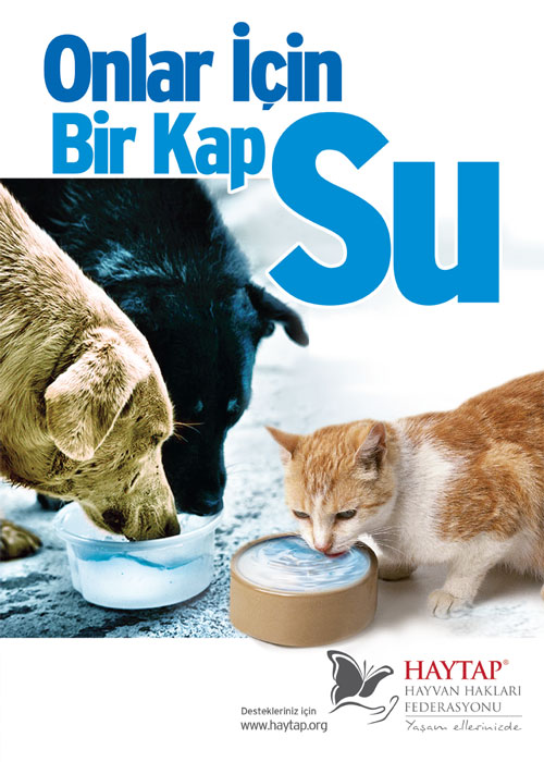 2011_birkapsu_brosur