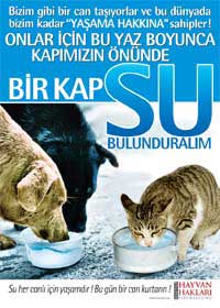 Bir Kap Su, A3 Boyut