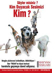 Kim Duyacak Sesimizi Afiş