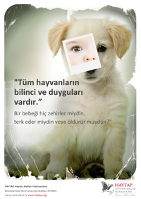 bebek_kopek_haytap-_ilan-_a3