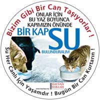Bir kap Su Sticker