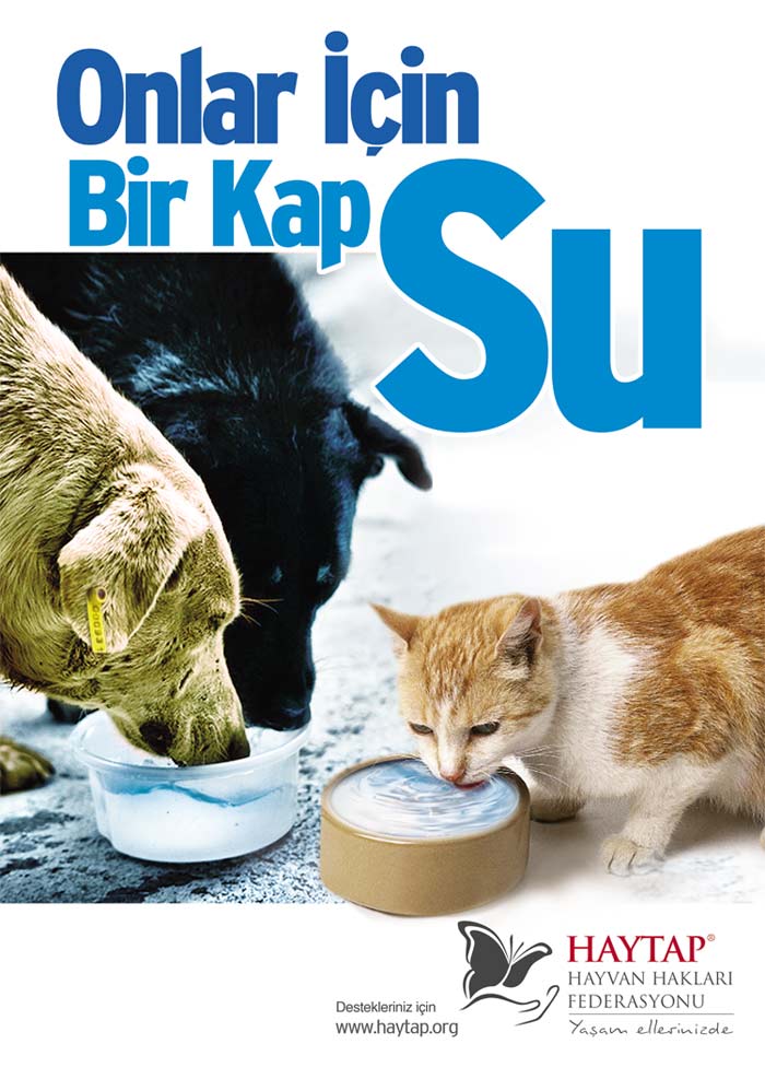 2011_birkap_su_kupeli_a4_2