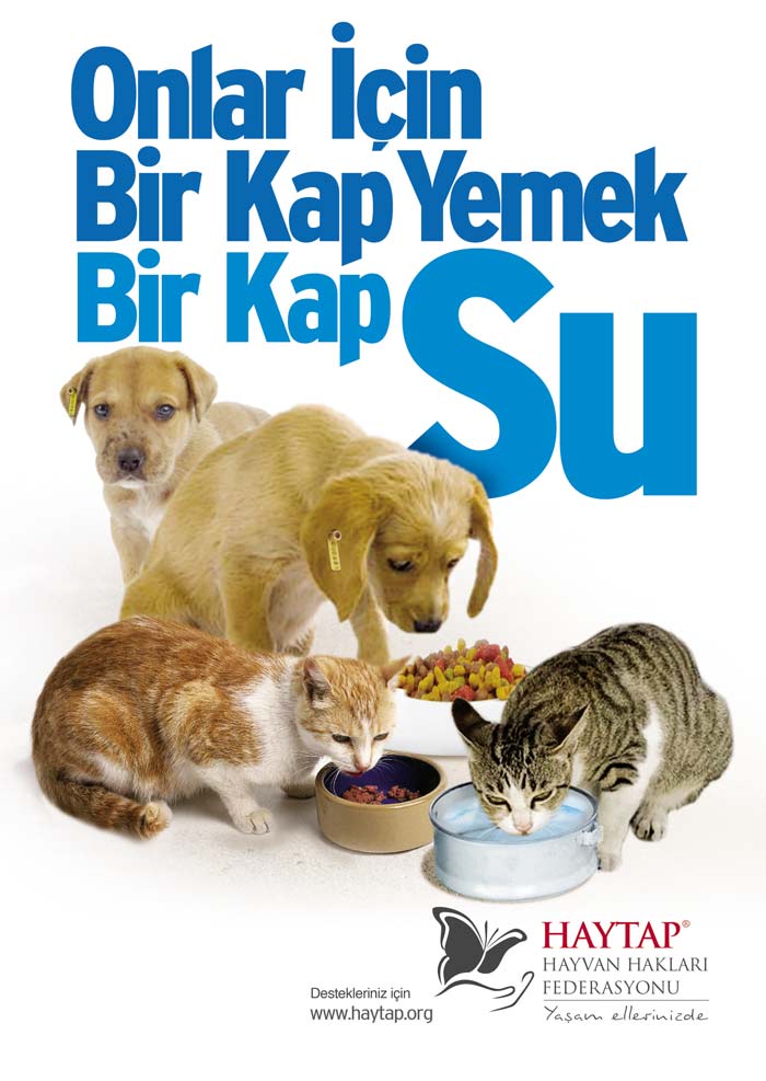 2011_birkap_yemeksu_A4_son_2