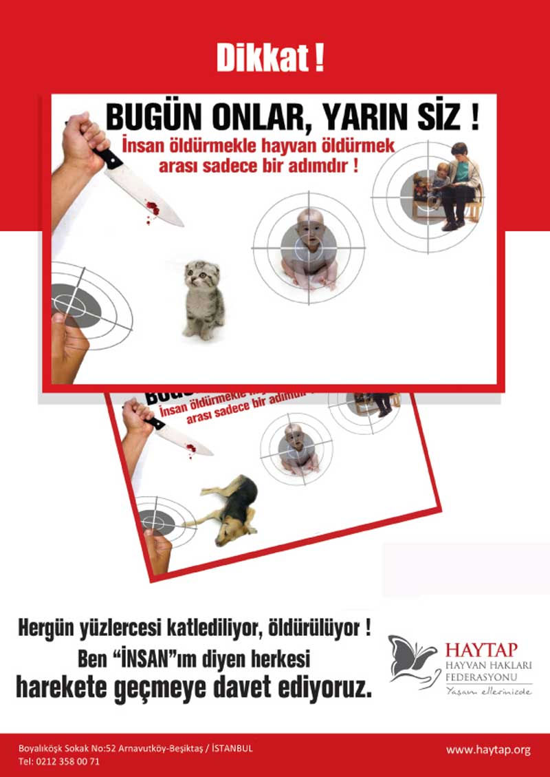 af_bugunonlar_yarinsiz001