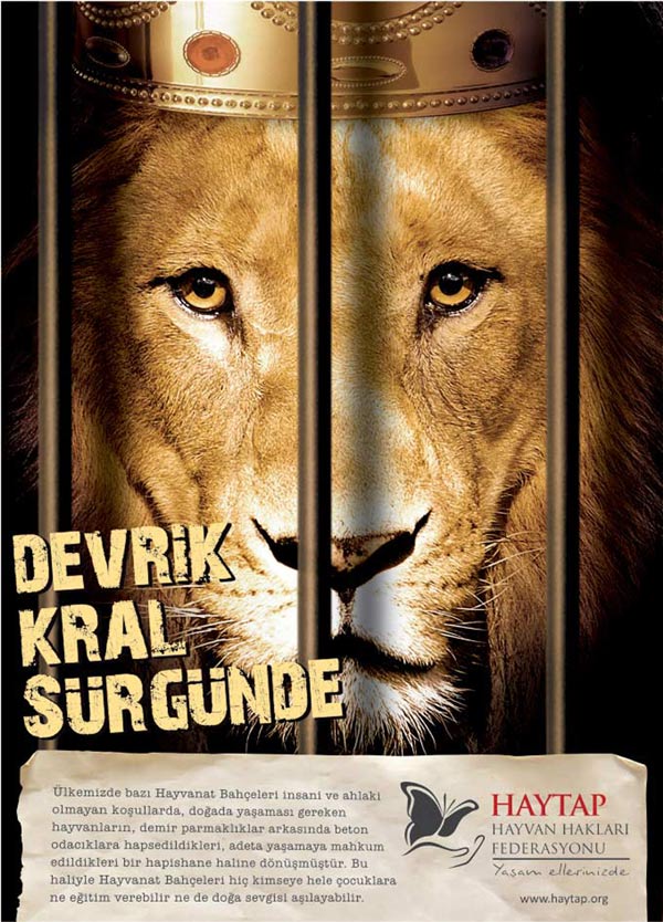 arselgroup_aslan_afisi_2