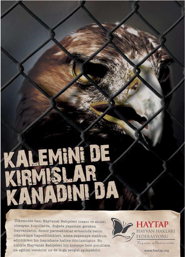 arselgroup_kartal_afisi_3