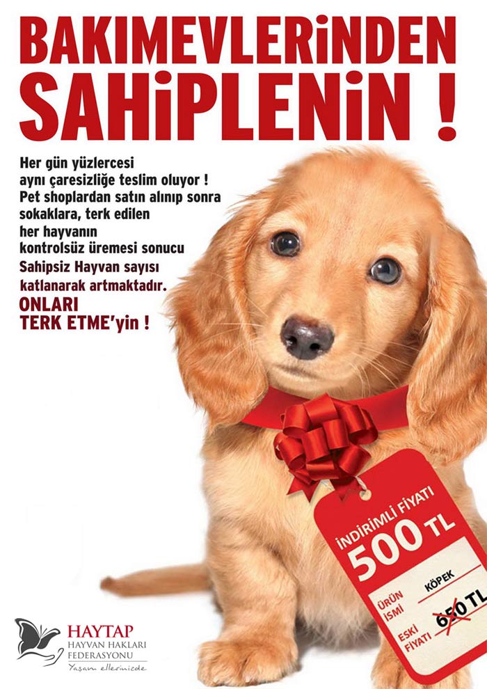 bakimevlerinden_sahiplenin
