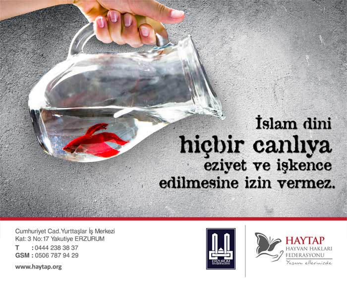 balik_erzurum_afis