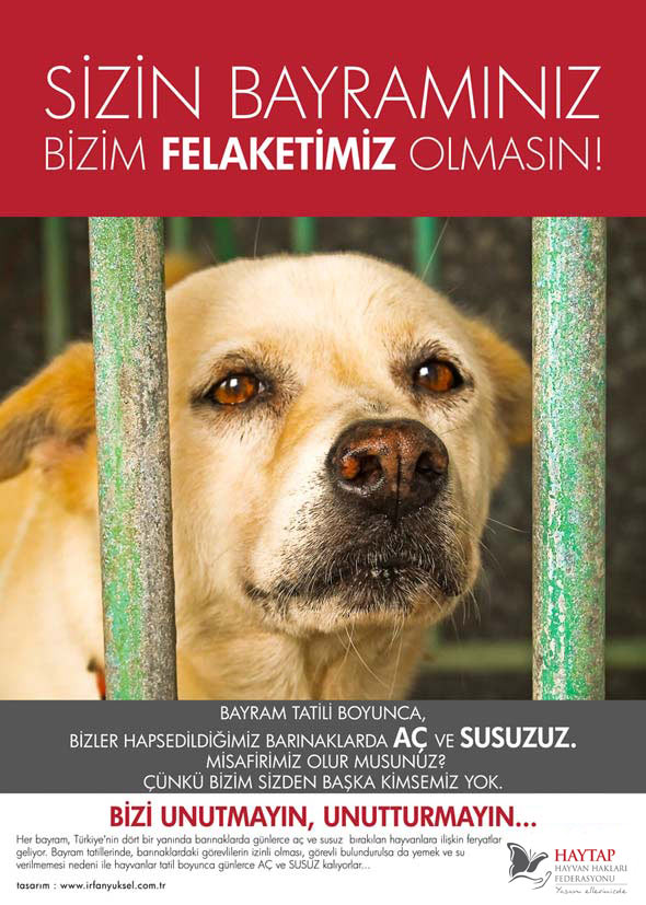 bayram_felaketiniz