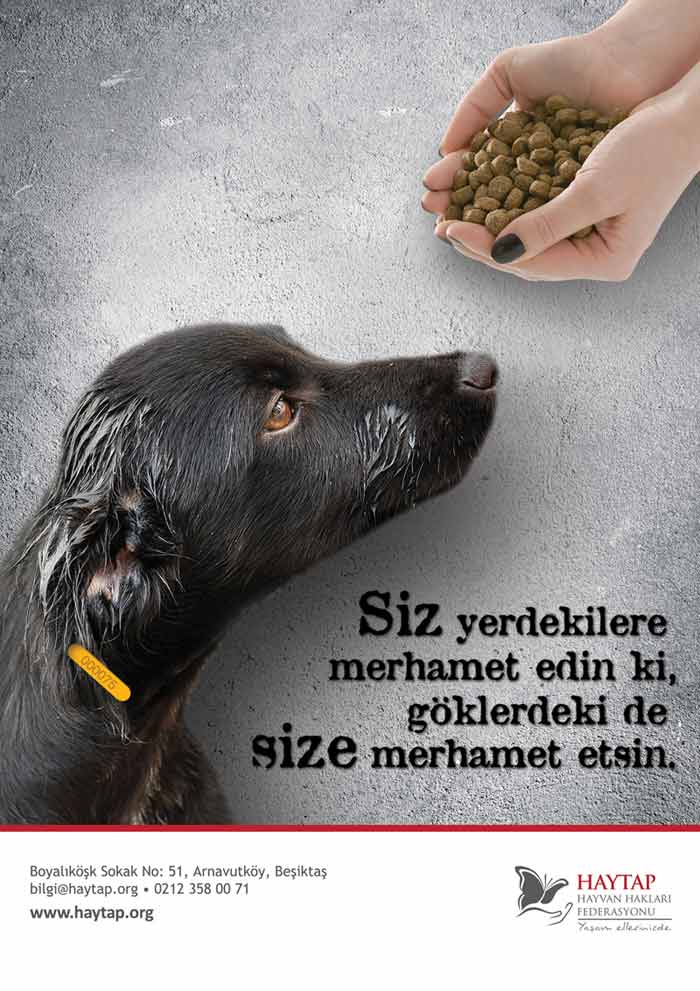 dini_el_kopekli