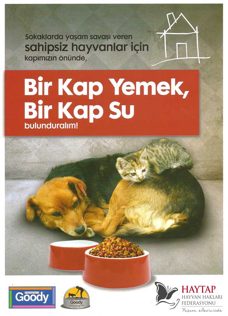 goody_haytap_afisi_2011