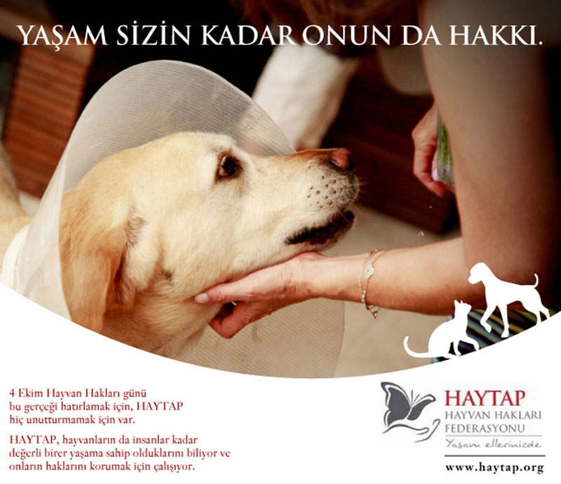 haytap-mailing-finansbank_2011