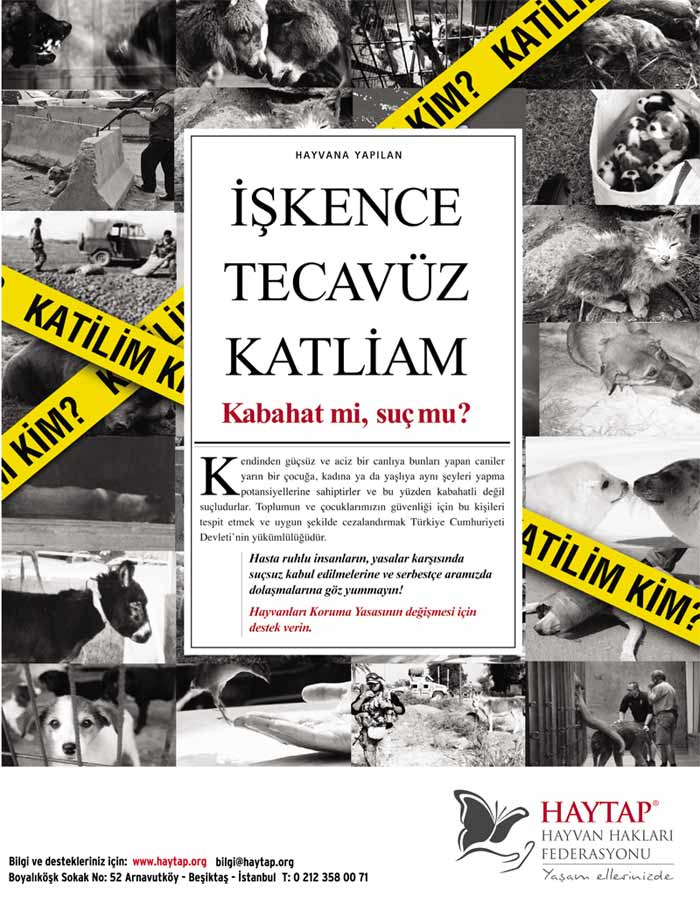 haytap_kabahatmi
