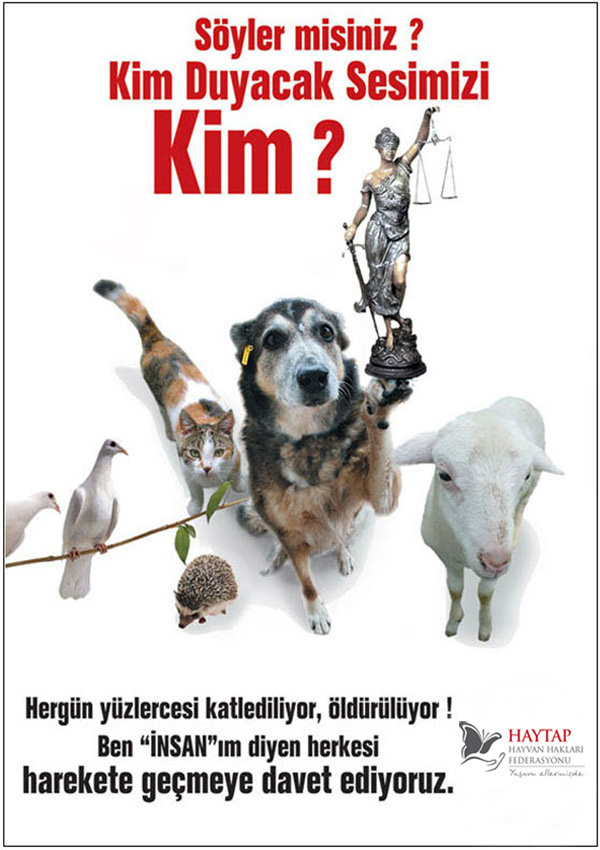 haytapkimduyacak_2011