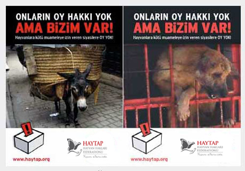 haytapoyyokilanlar1