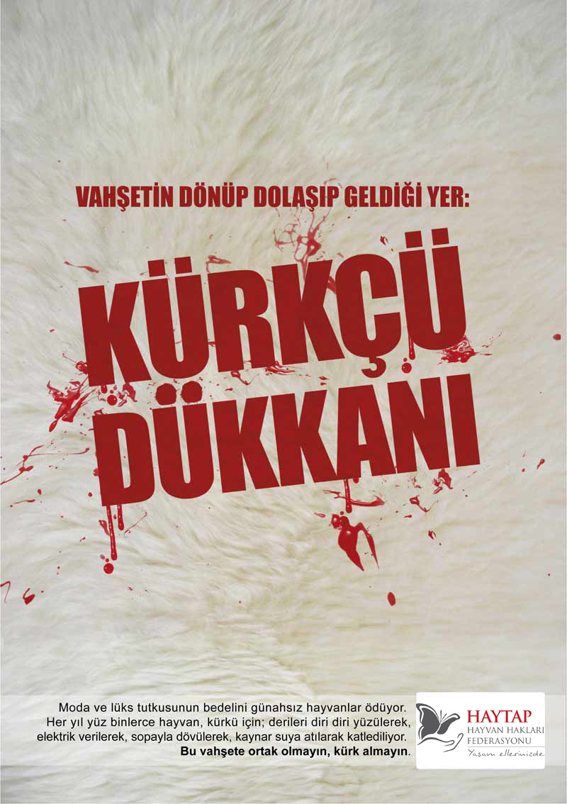 kurkcu_dukkani