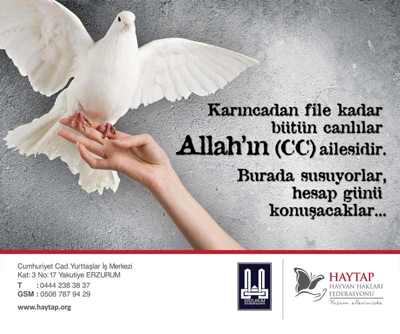 kus_erzurum_afis