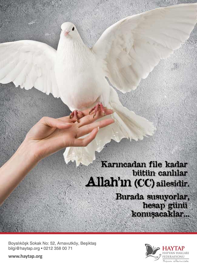 merhamet_kus_A4