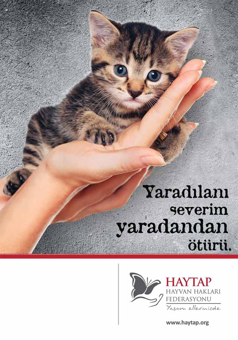 park_kedibrosur_03