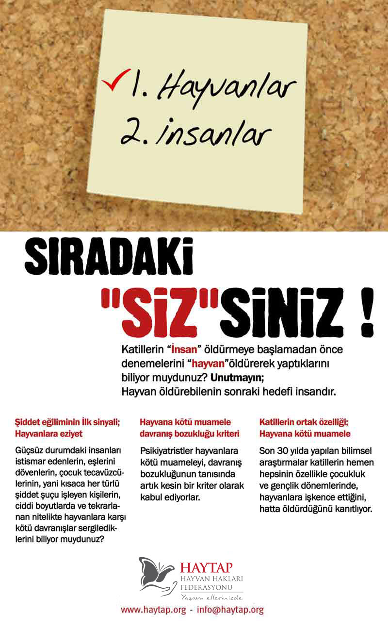 SIRADAKİ ”SİZ”SİNİZ. timur34