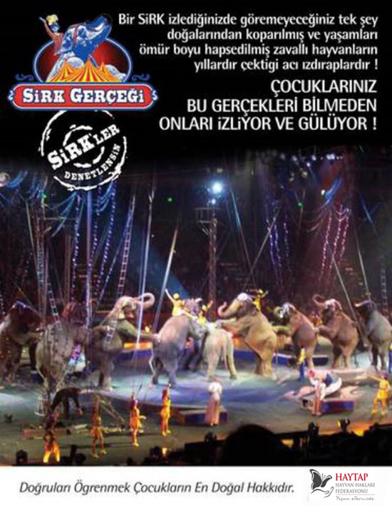 Gaziemir Belediyesi ''Hayvansız Sirk'' Kararı Aldı