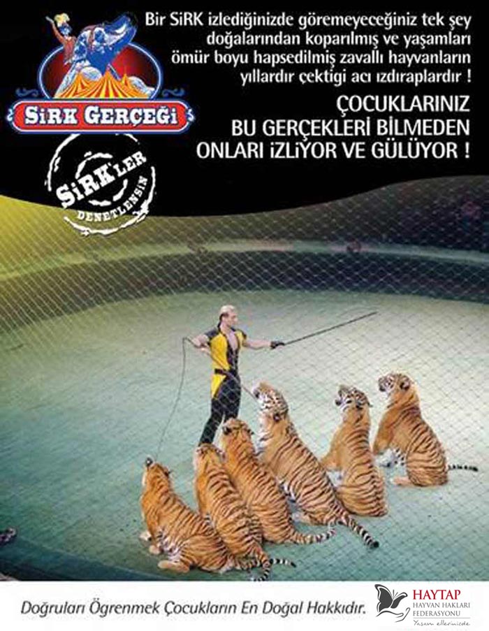 Atlantis Sirki Balçova'da
