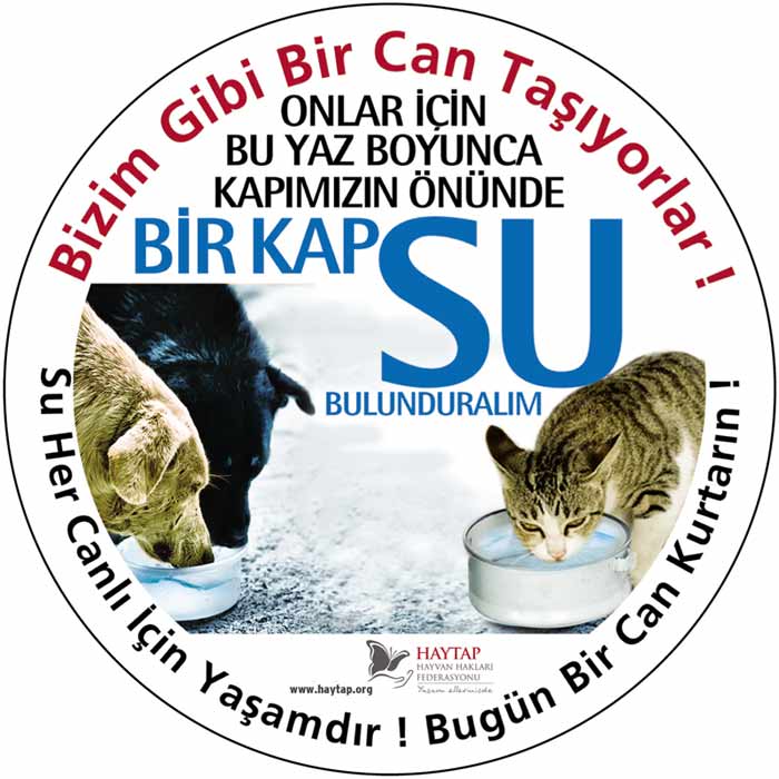 st_birkapsu_sticker_2011