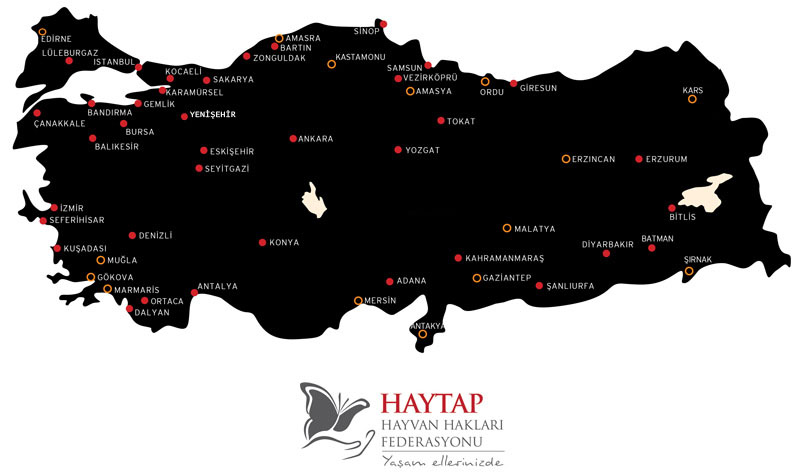 temmuz_2011_map