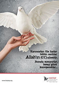 5199 sayılı Hayvanları Koruma Kanunu ( Türkçe )