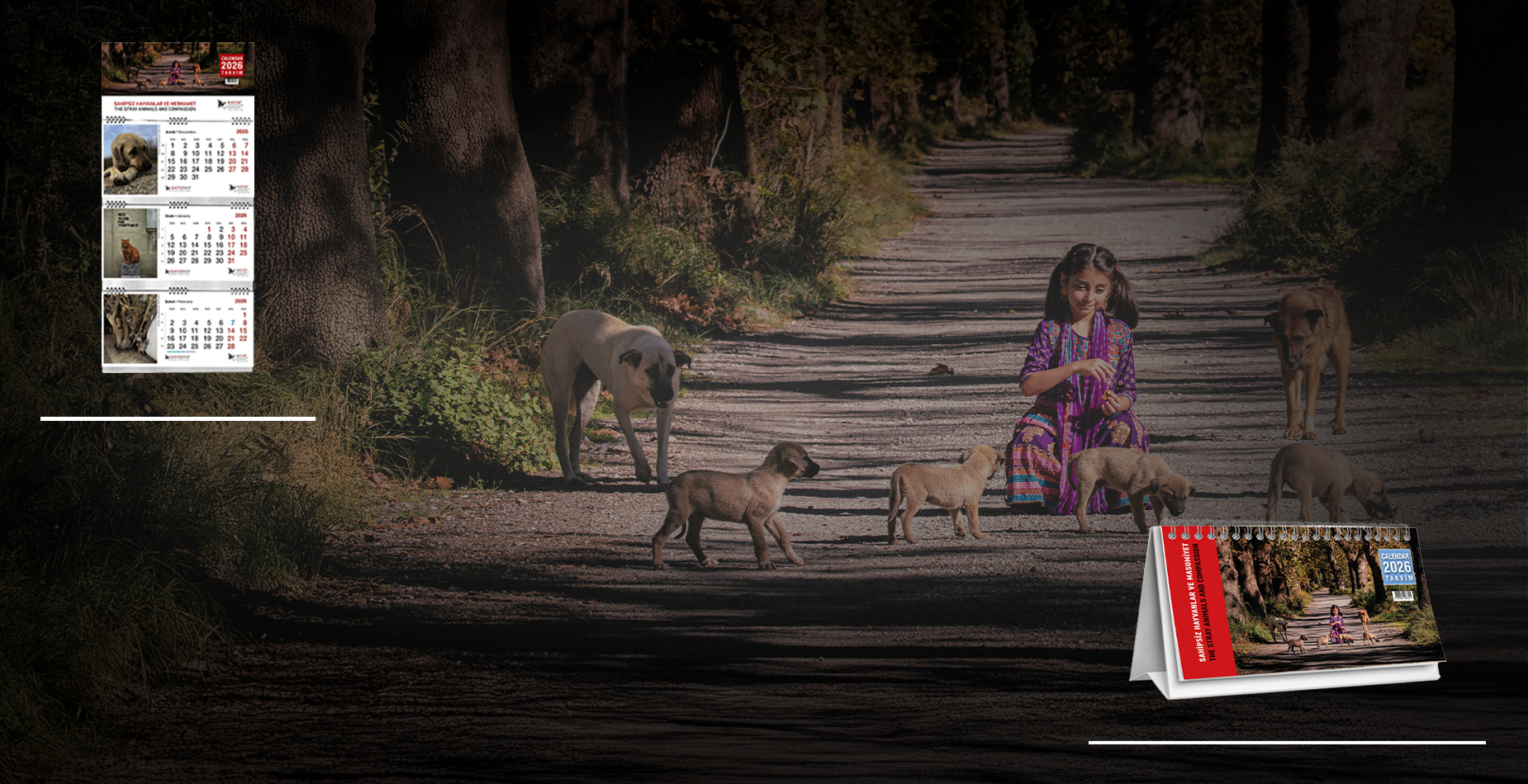 Haytap 2026 Yılı Masa ve Duvar Takvimi