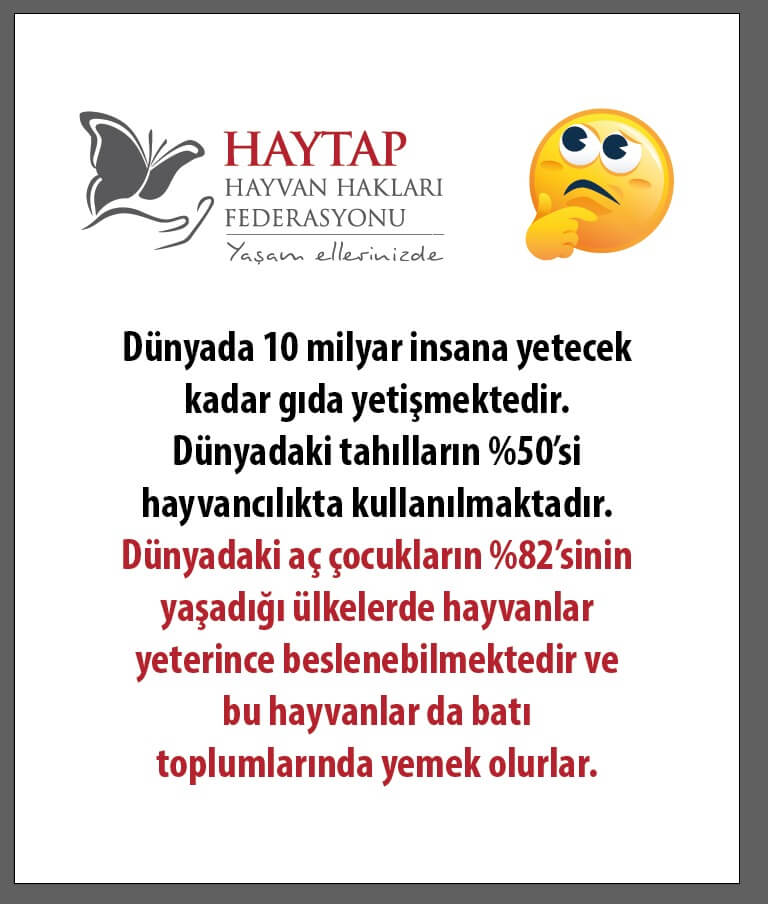 5199 Sayili Yasanin Uygulama Yonetmeligi Mevzuat Hukuk Haytap Hayvan Haklari Federasyonu