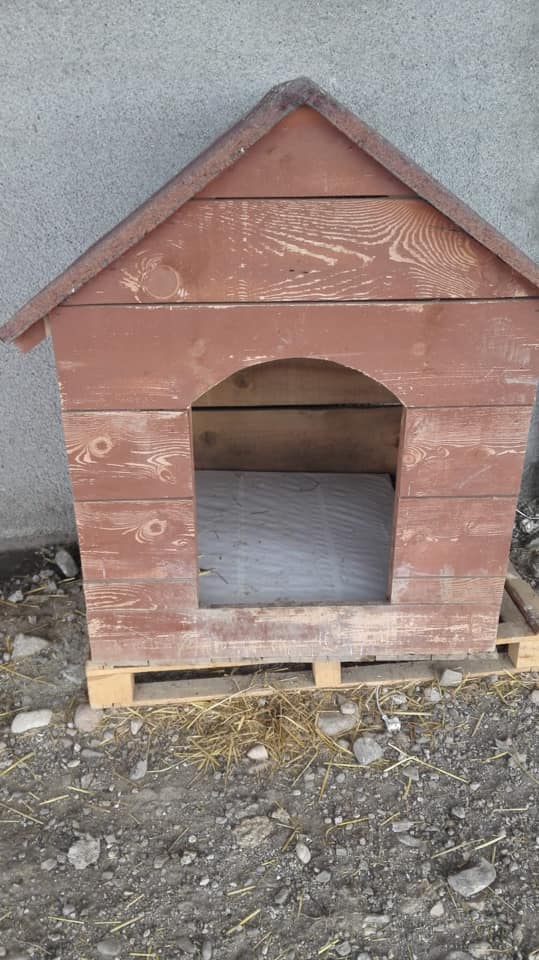 Tuğladan Köpek Kulübesi Yapımı