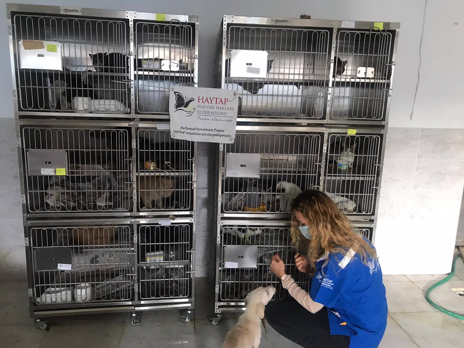 Haytap Foca Bakimevine Kedi Bakim Kafesi Aldi 2021 Haytap Takvimlerinden Elde Edilen Gelirleri Nerelerde Kullandik Bagislarinizi Nerede Kullaniyoruz Haytap Hayvan Haklari Federasyonu
