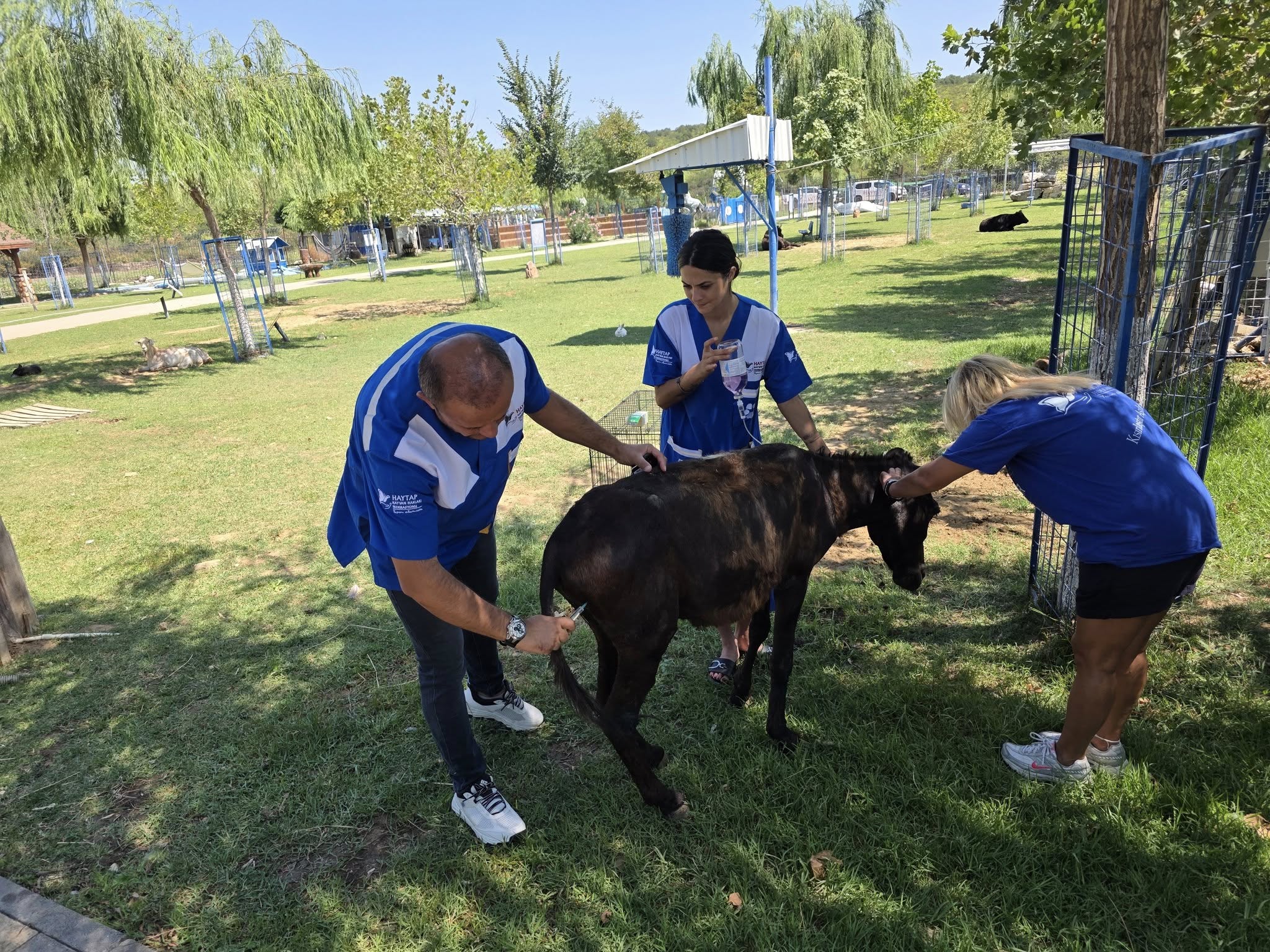 HAYTAP 2025 YILI FAALİYET RAPORU
