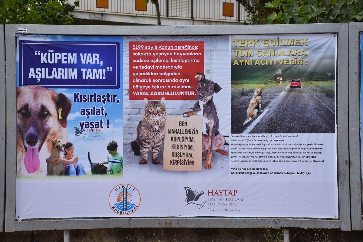 dikili belediyesi haytap ortak calismasi devlet kurumlari ve haytap haytap in arkadaslari haytap hayvan haklari federasyonu