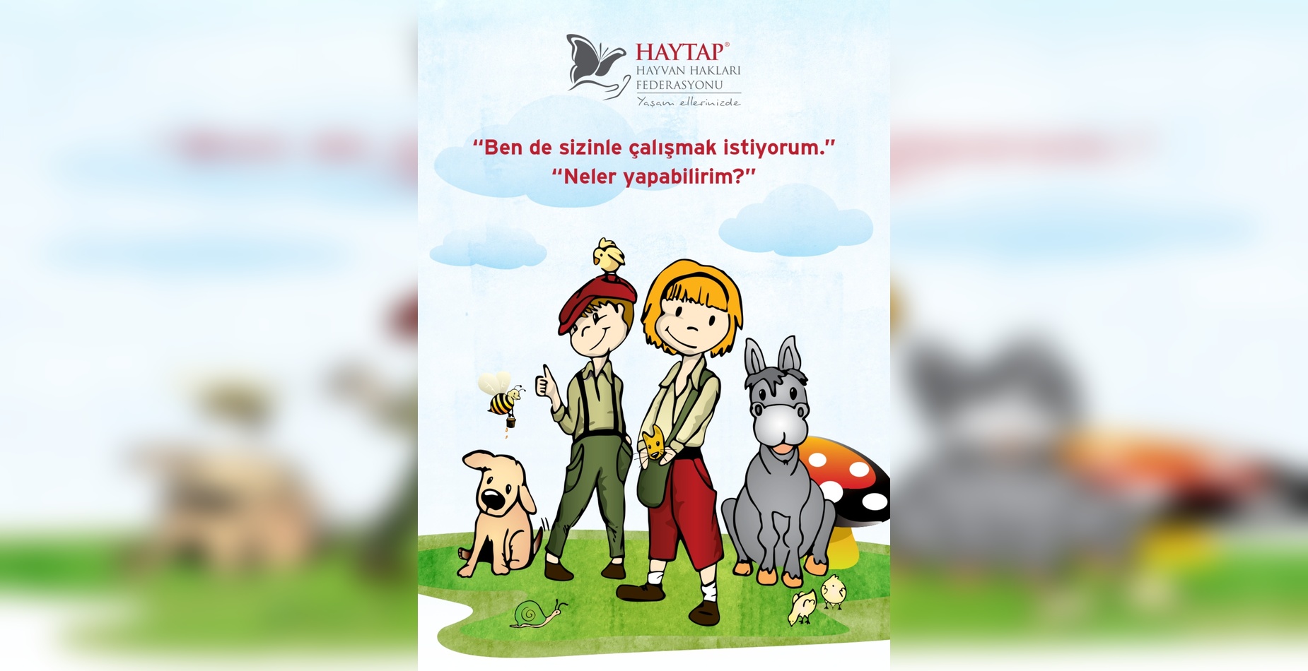 Gönüllünüz Olmak İstiyorum