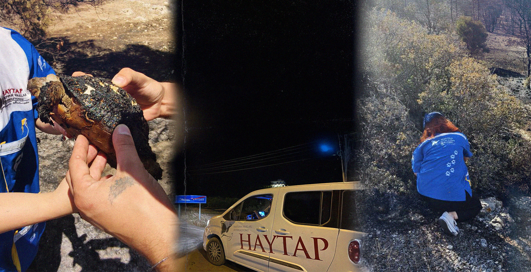 Haytap İzmir, Bursa, Bilecik ve Çanakkale Yangınlarında Sahada