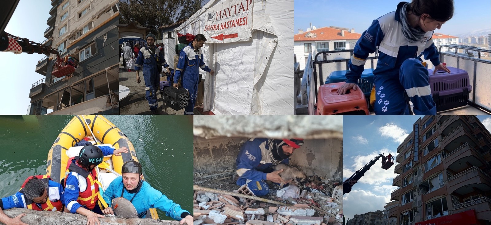 Haytap Annual Report -2024
