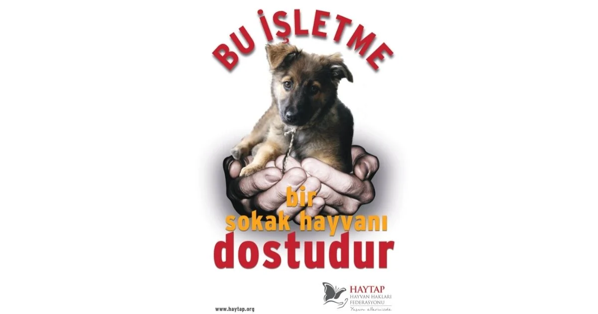 HAYTAP’A KURUMSAL DESTEK VEREN ŞİRKETLER / HAYTAP’IN ARKADAŞLARI