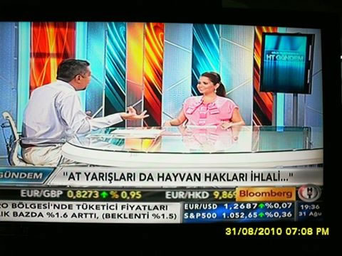 At yarışları da hayvan hakları ihlalidir!