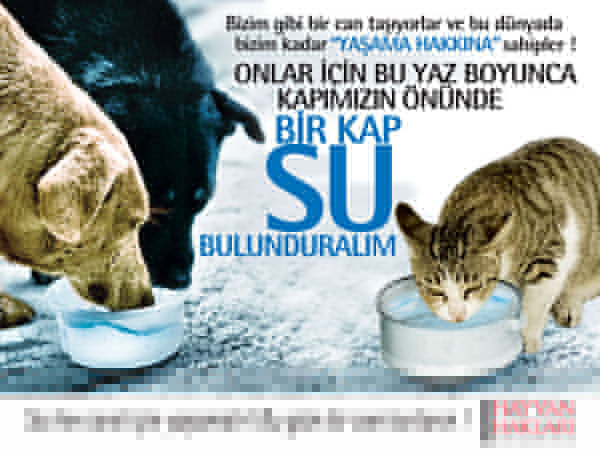 HAYTAP ’’Beni Terk Etme’’ ve Bir Kap Su Kampanyaları 2010 Yılında da Devam Ediyor..