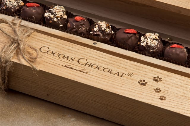 Help Stray Animals by Buying Chocolate from Haytap!