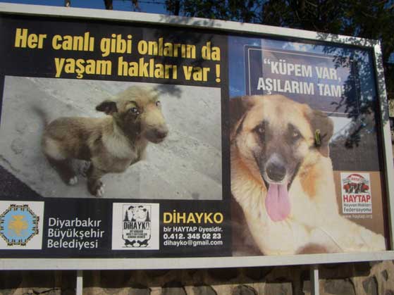 Haytap Billboardlari Diyarbakir Caddelerinde Devlet Kurumlari Ve Haytap Haytap In Arkadaslari Haytap Hayvan Haklari Federasyonu