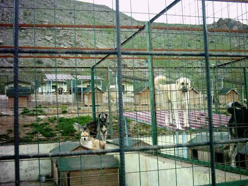 HAYTAP 10. Anadolu İmdat Turu - Dr. Damla Şahin’in Herkese Örnek Öyküsü