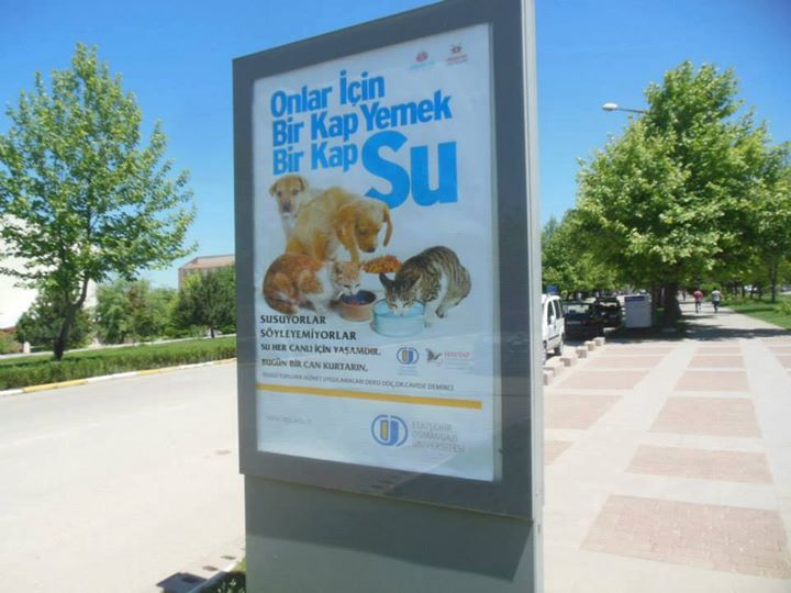 eskisehir_unv_bilboard3