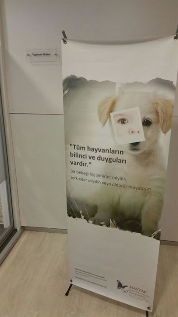 Haytap’ın Yeni Ofisi