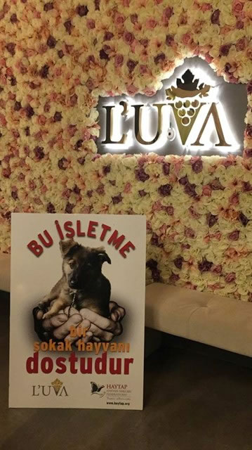 Luva Klinik & Haytap Sosyal Sorumluluk Projesi