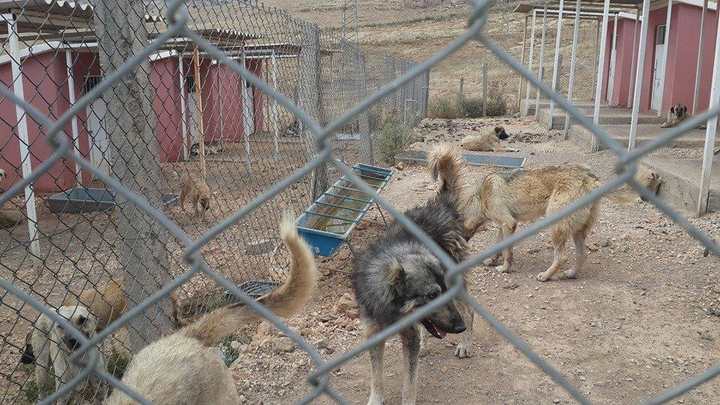 Mardin’de Belediye, Orman Su Md, HAYTAP Çözüm İçin Bir Arada