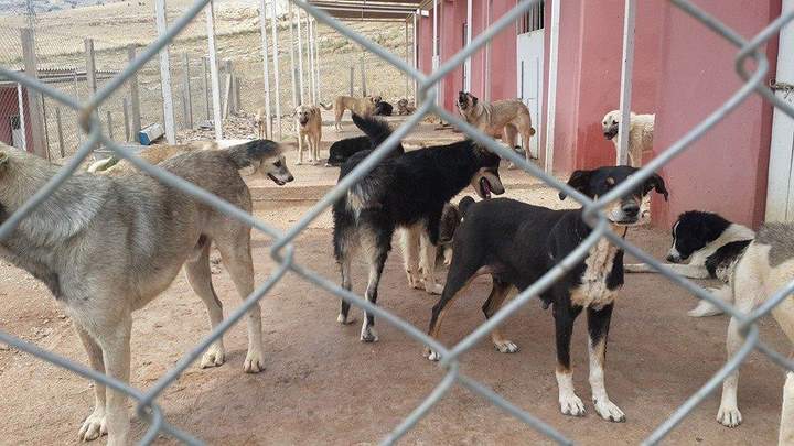 Mardin’de Belediye, Orman Su Md, HAYTAP Çözüm İçin Bir Arada
